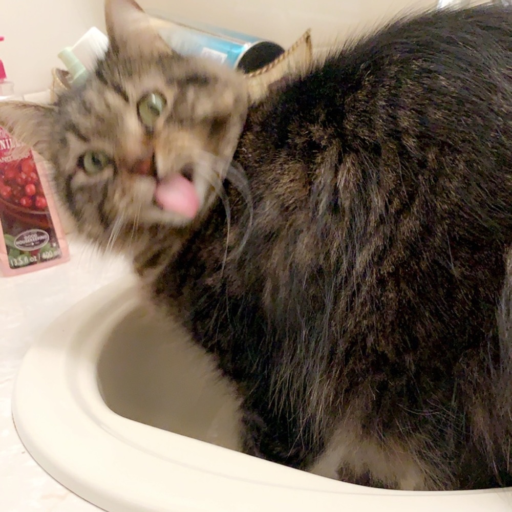 Meet your Posher, Jessica